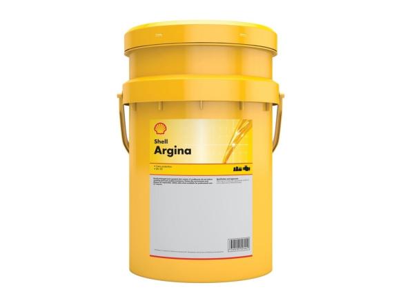 Shell Argina S3 40 